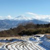 段々畑から富士山を見る