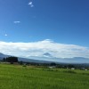 今朝の富士山とおかひじきのナムル