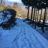散歩道の雪