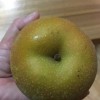 ずっしり重い初物の梨