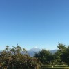 柿の木の向こうの富士山