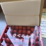人気の高級サクランボ紅秀峰